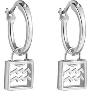 Zilveren Oorbellen - Oorbellen sterrenbeeld Waterman | 925 Sterling Zilver - Direct uit voorraad - Met 925 Zilver Certificaat - In Leuke cadeauverpakking - Tip voor Moederdag