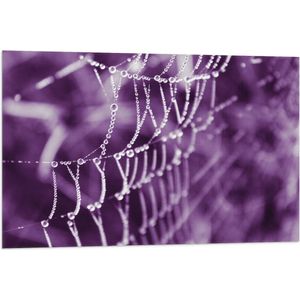 Vlag - Spinnenweb - Druppels - Paars - 90x60 cm Foto op Polyester Vlag
