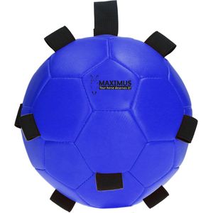 Maximus Fun Play Ball Blauw