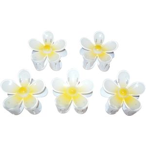 5 Haarklemmen bloem geel-wit