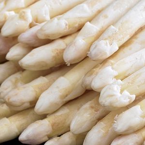 Bloomique - 2 Stuks - Witte Asperge - Speciaal geselecteerd voor eigen kweek - Moestuin - Winterhard - Meerjarig