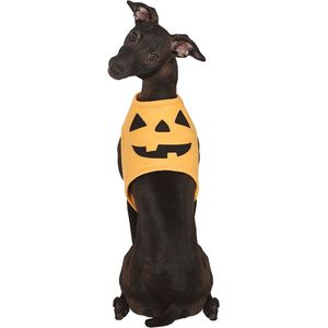 Fiestas Guirca - Pompoen kostuum voor de hond (Maat M) - Halloween - Halloween accessoires - Halloween verkleden