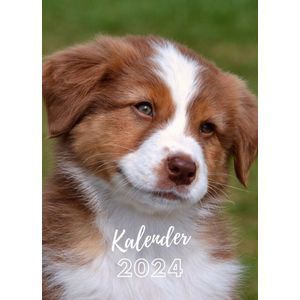 Kalender 2024 honden (A4 formaat) maandkalender wandkalender