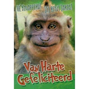 Hey knapperd! Jij bent jarig! Van harte gefeliciteerd! Een grappige kaart met een vrolijke aap! Een leuke kaart om zo te geven of om bij een cadeau te voegen. Een dubbele wenskaart inclusief envelop en in folie verpakt.