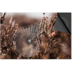 Inductie beschermer 71x52 - afdekplaat inductie mat - Dietrix Kookplaat beschermer - Exclusief - Herfst - Spinnenweb ochtenddauw