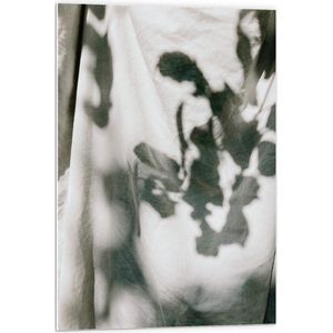 Forex - Schaduw van Planten op Doek - 60x90cm Foto op Forex