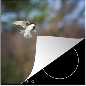 KitchenYeah® Inductie beschermer 78x78 cm - Close-up van twee vechtende vogels bij een nestkast - Kookplaataccessoires - Afdekplaat voor kookplaat - Inductiebeschermer - Inductiemat - Inductieplaat mat