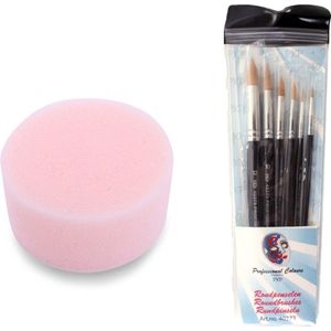 Partyxplotion Professionele schmink penselen set rond 6x en 1x make up sponsje - schminkset - voor kinderen en volwassenen