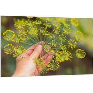 Vlag - Gele Mini Bloemen in Mensenhand - 120x80 cm Foto op Polyester Vlag