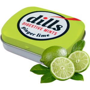 Dills Ginger & Lime Digistive Mints - 24 stuks - Spijsvertering - Suikervrij