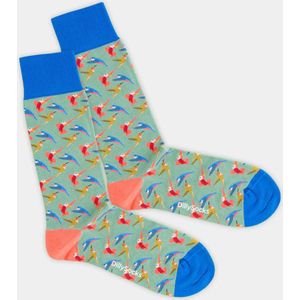 DillySocks Hummingbird Sock - maat 36-40