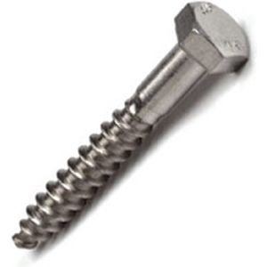Houtdraadbout rvs a2 10x80 mm din571 ( a 100 st )