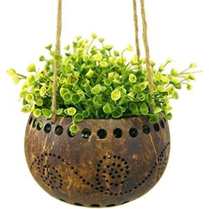 Kokoskom met jute touw voor binnen en buiten - diameter: ca. 14 cm - voor lichtslingers en kunstplanten