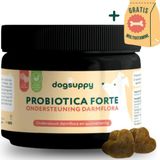 Probiotica Forte snoepjes (VLEESVRIJ) | Ondersteunt Darmflora & Spijsvertering | 100% Natuurlijk | +3 miljard Probiotica per snoepje | FAVV goedgekeurd | Probiotica Hond | Hondensupplementen | Hondensnacks | Geschenk per bestelling | 60 hondenkoekjes