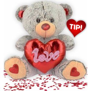 Teddybeer Grijs met Rood Hart Love Pluche Knuffel 22 cm - Valentijnsdag cadeau voor hem haar - Knuffelbeer Beertje Teddy Liefde Mannen Vrouwen - Valentijn Cadeautje teddybeer - I Love You / Ik hou van je - Teddy Beer Groot