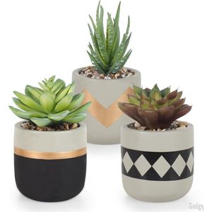 Gadgy Kunstplanten voor Binnen 3 stuks - Kunst Vetplantjes in Stenen Pot - Nepplant Klein - Vetplant Mini - 13 tot 16 cm - Housewarming cadeau