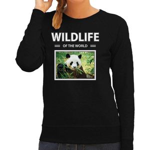 Dieren foto sweater Panda - zwart - dames - wildlife of the world - cadeau trui Pandas liefhebber S