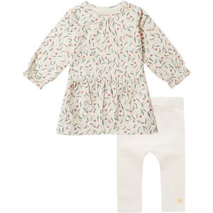 Noppies - Kledingset - 2 delig - Jurk Coon Whitecap Gray - Legging Montaque - Maat 74