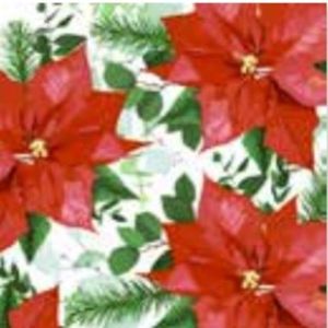 Paper+Design - Cocktail Servetten - Floral Christmas - Rood en Groen