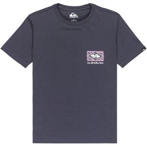 Quiksilver Evo Crisis T-shirt Met Korte Mouwen Grijs 14 Years Jongens