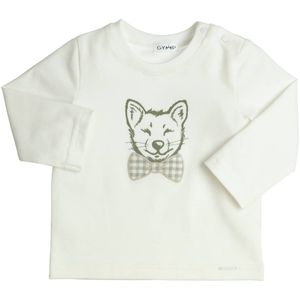 Gymp - Longsleeve Aerodoux Fox - Off White/Green - maat 98