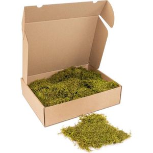 Kleine doos platmos - kleur mos: Spring Green (voor o.a. decoratie, mosschilderij of moswand).