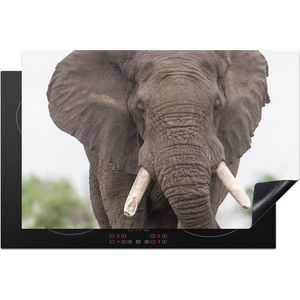 KitchenYeah® Inductie beschermer 81.2x52 cm - Olifant - Dieren - Gras - Natuur - Kookplaataccessoires - Afdekplaat voor kookplaat - Inductiebeschermer - Inductiemat - Inductieplaat mat