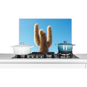 Spatscherm keuken 70x50 cm - Kookplaat achterwand Cactus met blauwe hemel - Muurbeschermer - Spatwand fornuis - Hoogwaardig aluminium