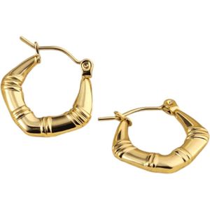 Aramat Jewels Oorringen - Kleine RVS Oorringen met Streepjesmotief – 20mm Goudkleurig - Roestvrij staal - Vrouwen - Volwassenen - [20mm]