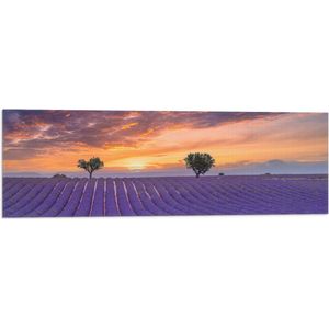 Vlag - Zonsondergang bij Lavendel Veld in de Zomer - 90x30 cm Foto op Polyester Vlag
