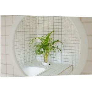 Forex - Spiegel in Badkamer met Plant - 120x80cm Foto op Forex