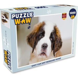 Puzzel Shot van Sint Bernard hond - Legpuzzel - Puzzel 1000 stukjes volwassenen