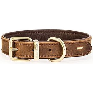 EzyDog Oxford Premium Leren Hondenhalsband - Halsband voor Honden - 55/65cm - Bruin