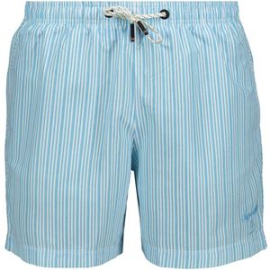 Superdry Broek Printed 15 Inch Swim Short M3010231a 2cj Blue Stripe Print Mannen Maat - L