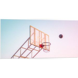 PVC Schuimplaat- Bal Vallend in Basket onder Blauwe Lucht - 100x50 cm Foto op PVC Schuimplaat