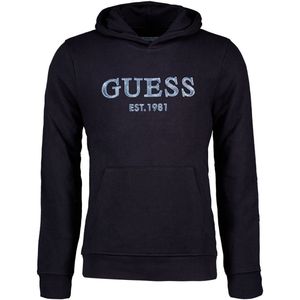Guess - Beau Hoodie - Herenhoodie - Zwart