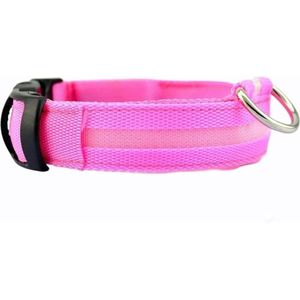 Lichtgevende Halsband LED Maat S 34 - 41 cm USB Oplaadbaar Hondenhalsband Puppy Riem - Roze Hond Dog Kat Kitten Cat - Dutchwide