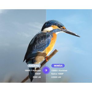 RFWR® Full HD Beamer met 15000 Lux, 5G WiFi & Bluetooth, 6D Keystone-correctie voor Thuisbioscoop