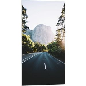PVC Schuimplaat - Autoweg met Uitzicht op Berg - 50x100 cm Foto op PVC Schuimplaat (Met Ophangsysteem)