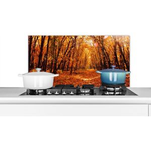 Spatscherm keuken 90x45 cm - Kookplaat achterwand Herfst - Bos - Bladeren - Seizoenen - Muurbeschermer - Spatwand fornuis - Hoogwaardig aluminium