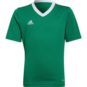 adidas - Entrada Jersey Youth - Groene Voetbalshirt -164