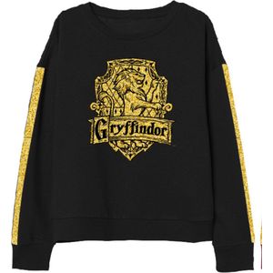 Harry Potter Sweater Meisjes Zwart/Goud Maat 146/152