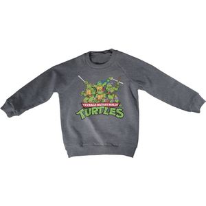 Teenage Mutant Ninja Turtles Teeange Mutant Ninja Turtles Distressed Group Kids Sweatshirt Kinder Dark-Heather-4 Jahre