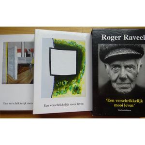 Roger Raveel - Een verschrikkelijk mooi leven