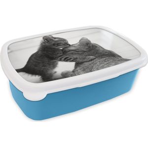 Broodtrommel Blauw - Lunchbox - Brooddoos - Kat knuffelend met kitten - zwart wit - 18x12x6 cm - Kinderen - Jongen