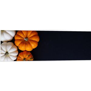 PVC Schuimplaat- Wit met Oranje Pompoenen op Zwarte Achtergrond - 120x40 cm Foto op PVC Schuimplaat