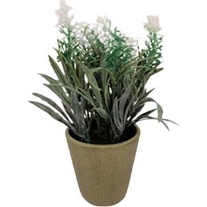 Lavendel kunstplant met pot H. 17cm - Overig - Motif 3 - SILUMEN