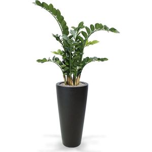 Zamioculcas kunstplant 100cm