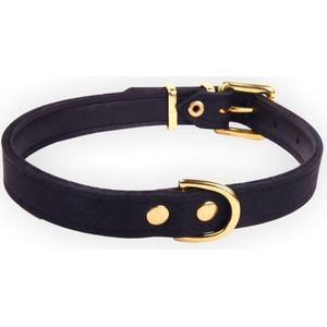 Dog's Companion Leren Halsband - Lengte: 70 cm Verstelbaar van 48-62 cm x 35 mm - Zwart - Exclusive Gold