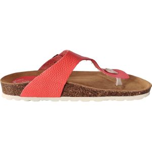 CASARINI 24502 Slipper Maat: 40